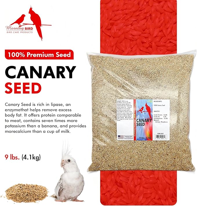 Morning Bird Canary Seed – Nutritional Rich in Vitamins and Supplements for Birds – Ideal for Healthy Feathers and Strong Bones Seed for All Birds Type 9 lbs