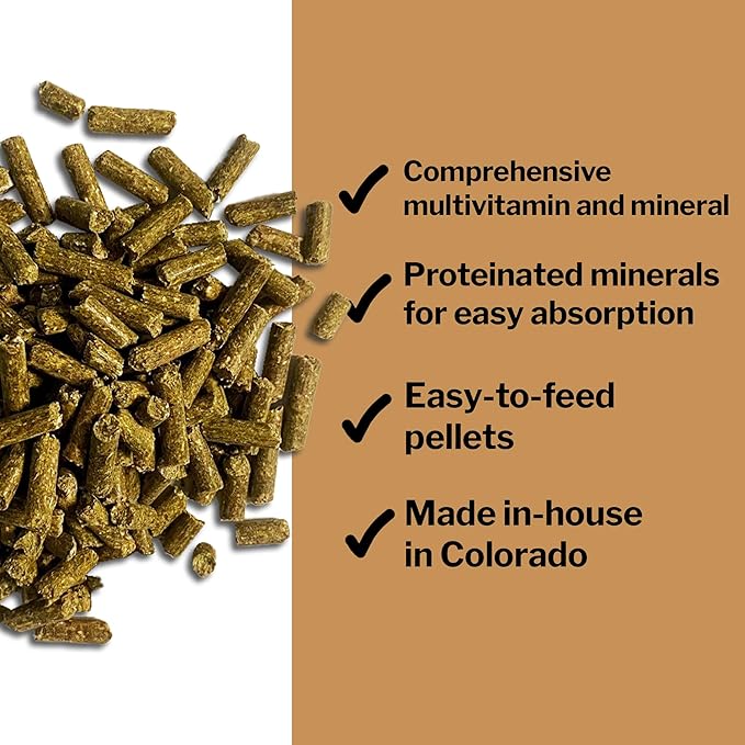 Formula 707 Daily Essentials Equine Supplement, 6 lb Bag – Complete Vitamins and Minerals for Superior Health and Condition in Horses