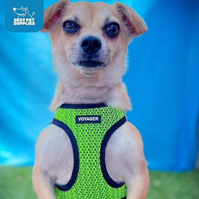 Best Pet Supplies - All Weather Mesh, Reflective, No Pull Harness for Small, Medium Dogs, Cats - Secure with Hook & Loop Fastener, Buckle, Double D-Rings - Lime Green 2-Tone, XL