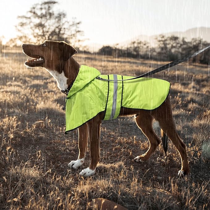 Waterproof Dog Raincoat - Reflective Dog Rain Jacket Adjustable Doggy Raincoats Lightweight Hooded Pet Rain Coat for Large Dogs (XX-Large, Green)