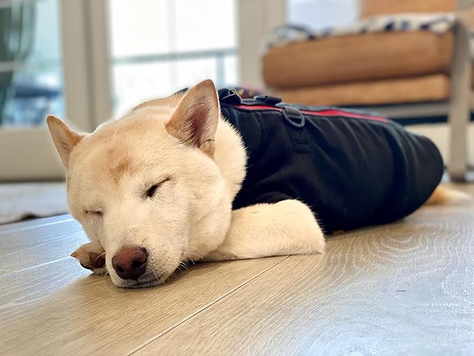 Gooby - Zip Up Fleece Vest, Fleece Jacket Sweater with Zipper Closure and Leash Ring, Black, Small