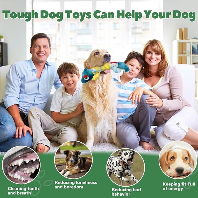 Crinkle Dog Toys Squeaky Plush No Stuffing Cute Puppy Stuffless Tough Rop Pull Toy, Fun Dog Stuffed Animals Durable Chew Set for Small Medium Large Pup (Large, Blue Chameleon)