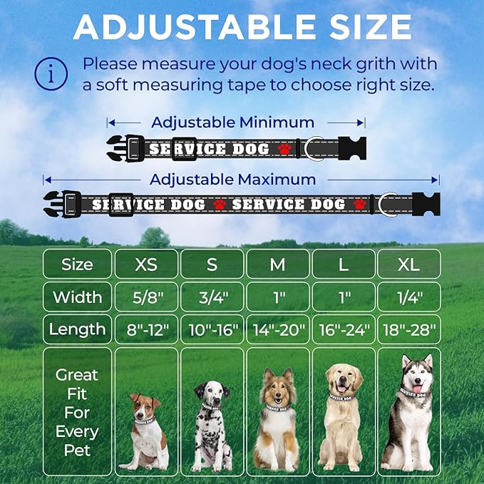 TECEUM Reflective Pet Collar β Black - Service Dog β M β Extra Soft Padding β Basic Nylon Dog Collar β Quick Release Buckle β Fits Small, Medium and Large Dogs, Puppies, Cats