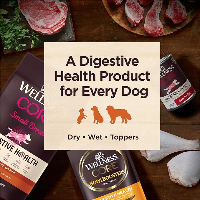 Wellness CORE Digestive Health Dry Dog Food, Small Breed, Wholesome Grains, Natural, Recipe for Dogs with Sensitive Stomachs, Chicken, (12-Pound Bag)
