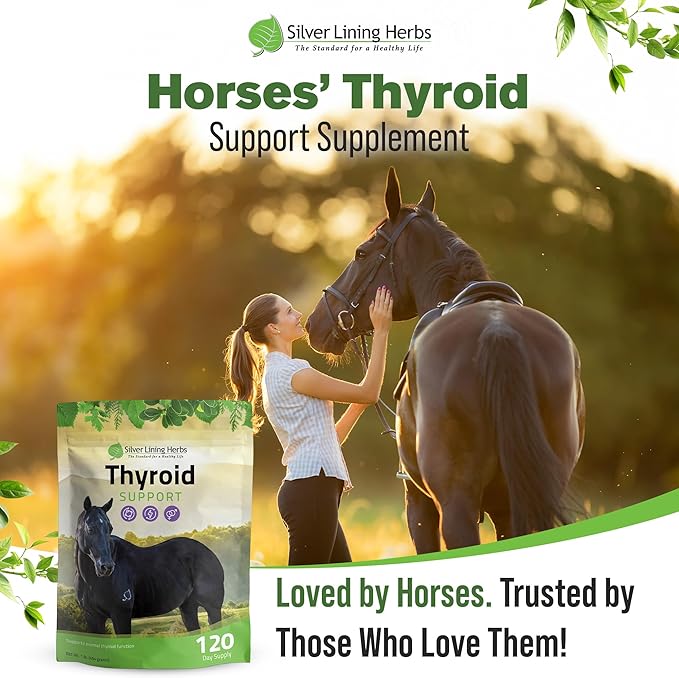 Silver Lining Herbs Thyroid Support for Horses β Herbal Horse Supplement for Normal Thyroid Function, Hormone Balance & Healthy Metabolism with Irish Moss, Kelp, Parsley β 120-Day Supply