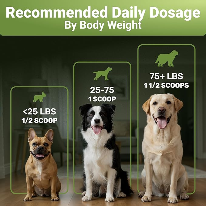 Dog Teeth Cleaning Powder with Probiotics – Dog Dental Care for Plaque & Tartar Remover – Effective Dog's Teeth Care & Oral Hygiene for Fresh Breath – USA Made Dental Powder for Dogs Teeth