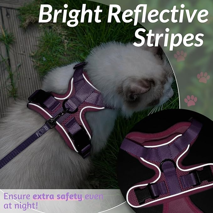 rabbitgoo Cat Harness and Leash for Walking, Escape Proof Soft Adjustable Vest Harnesses for Cats, Easy Control Breathable Reflective Strips Jacket, Pink & Purple, XXS