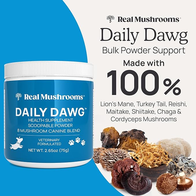 Real Mushrooms Whole Dog Health – Functional Mushroom Blend for Dogs with Lion’s Mane, Cordyceps, Turkey Tail, Reishi, Shiitake for Overall Wellbeing of Dogs – 2.65 oz Powder Supplement