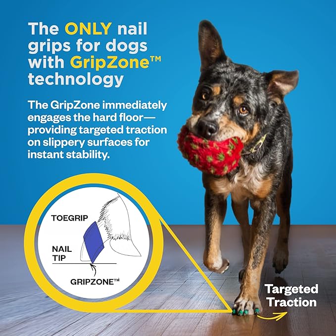 Dr Buzby's XXXLarge ToeGrips for Dogs - Instant Traction on Wood/Hardwood Floors - Anti Slip Relief - Grippers for Senior Dogs - Stop Sliding Instantly - Rubber Nails for Paws - 1 Pack (20 Grips)