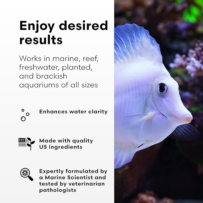 Brightwell Aquatics RedoxIclean Organic Waste Cleaner and Redox Enhancer Improves Water Clarity Filtration and Breakdown in Freshwater Marine Aquariums, 20L