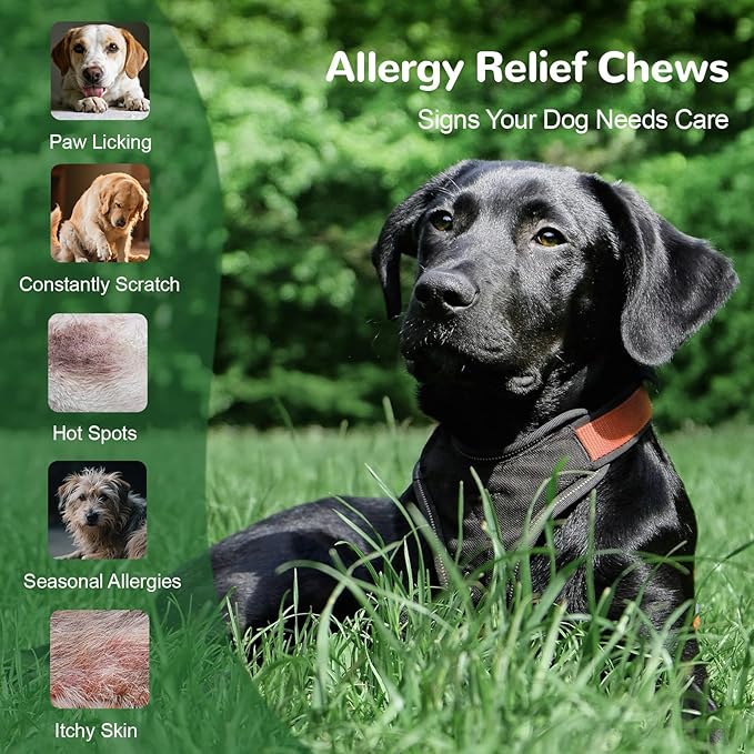 Dog Allergy Relief Chews, Dog Itch Relief Chews for Large Dogs Paw Licking Itchy Skin Seasonal Allergies, Probiotics with Omega-3 Turmeric Astragalus for Coat Immune Supplement-150ct