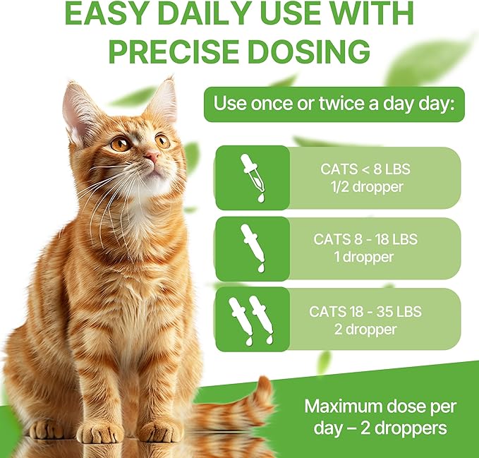 Cat Kidney Support – Kidney Support Supplement for Cats Feline Health, Fluid Balance & Appetite, Veterinarian-Formulated Herbal Supplement 2 fl oz–for Normal Kidney Cleanse and Essential Kidney Care