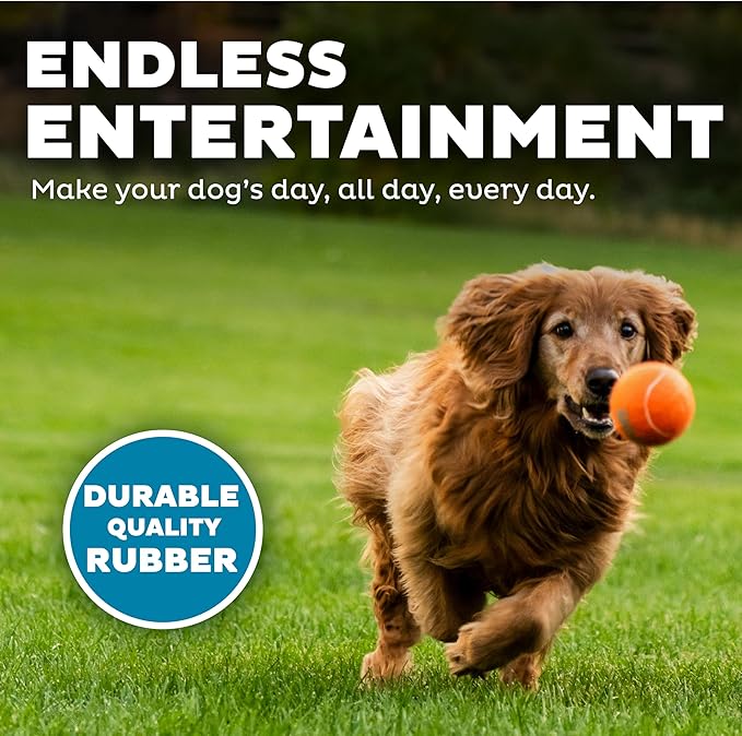Outward Hound Squeaker Ballz 4-Pack Tennis Ball Dog Toys with Squeaker, Interactive Fetch Play for Pets 50 lbs and Over, Training Balls for Indoor & Outdoor Exercise, Large, 3-inch