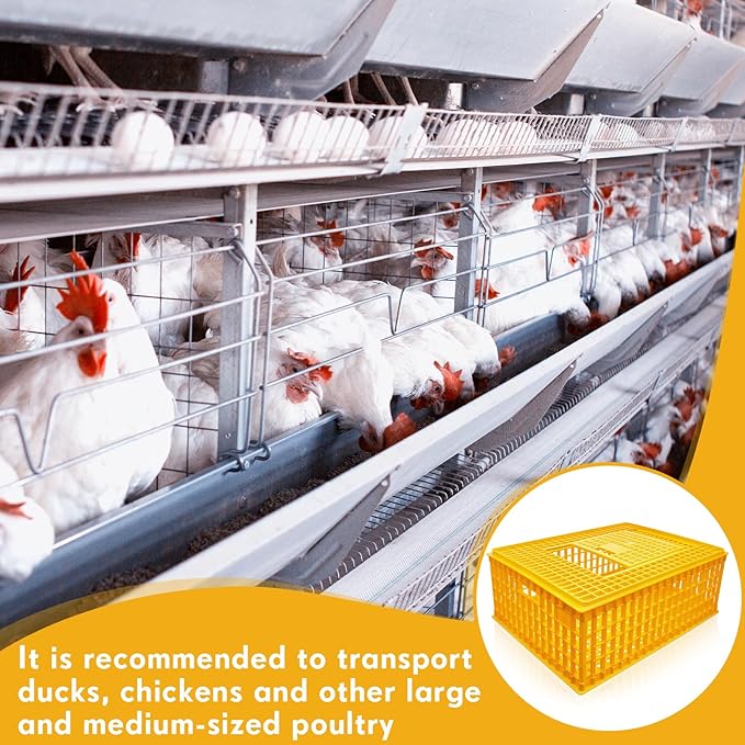 Sintuff 2 Pieces Poultry Carrier Crate Plastic Chicken Transport Cage Bird Carrier Chicken Carrier Travel Crate Basket Box for Poultry Chicken Bird Duck Goose, 29.5 x 21.7 x 11.6 Inch