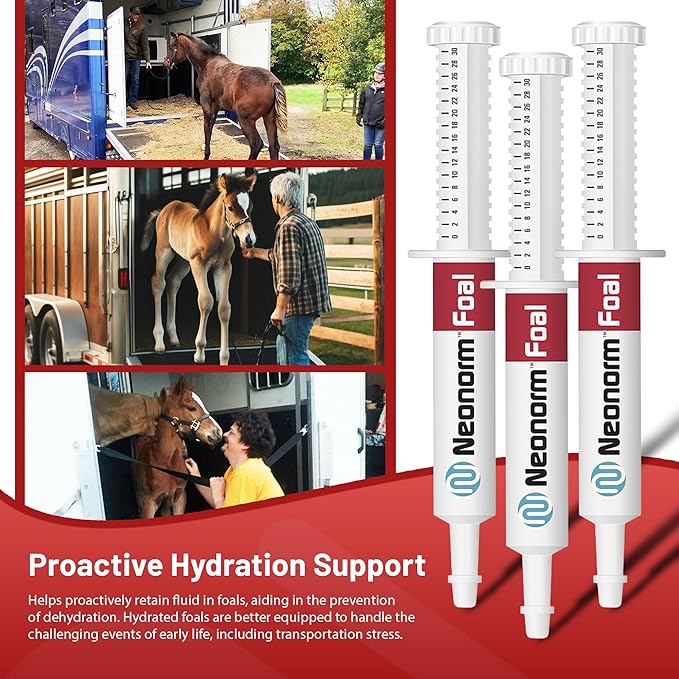 Jaguar Animal Health Foal - Equine Supplement Paste for The Support of Proper Hydration & Bowel Health - Plant-Based Product for Pre-Weaned Foals (30 mL)