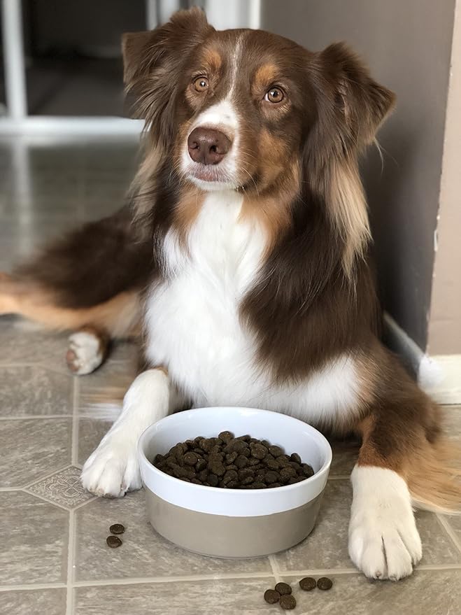 Waggo Dipper Ceramic Dog Bowl for Small and Large Breeds - Heavyweight and Durable Pet Food and Water Dish Crock, Dishwasher Safe, Modern (Vintage Grey, Large)