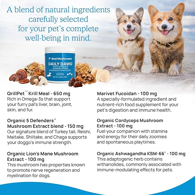 Real Mushrooms Whole Dog Health – Functional Mushroom Blend for Dogs with Lion’s Mane, Cordyceps, Turkey Tail, Reishi, Shiitake for Overall Wellbeing of Dogs – 2.65 oz Powder Supplement