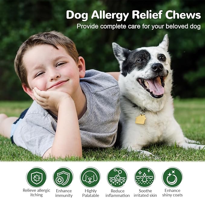 Dog Allergy Relief Chews, Dog Itch Relief Chews for Large Dogs Paw Licking Itchy Skin Seasonal Allergies, Probiotics with Omega-3 Turmeric Astragalus for Coat Immune Supplement-150ct