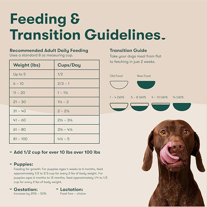 Jinx Premium Grain-Free Dry Dog Food, for All Lifestages - Real Salmon, Sweet Potato & Carrot Kibble with Superfoods for Immune Support & Probiotics for Digestive Support - No Fillers - 30lb