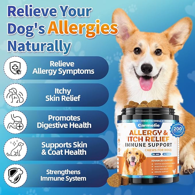 Dog Allergy Chews 200 Chews - Dog Itching Skin Relief Support - Omega 3 Probiotics for Dogs - Itchy & Paw Licking Relief, Seasonal Allergies, Skin & Coat Immunity Supplement - Chicken Flavor