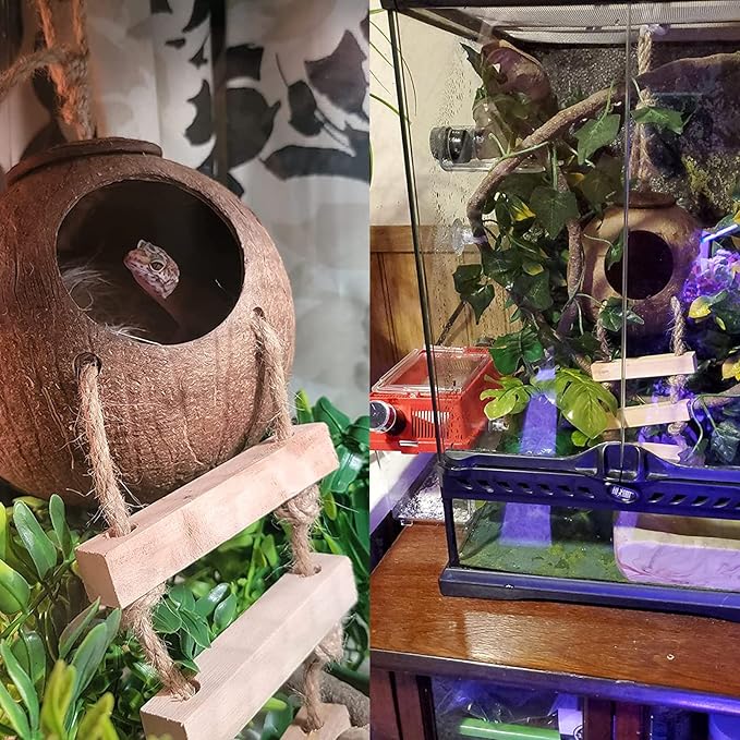 Crested Gecko Coconut Hut with Ladder,Natural Bearded Dragon Coco Den Reptile Shell Hideout Husk Hut Climbing Plants Leaves Tank Accessories for Lizard Chameleon Snakes