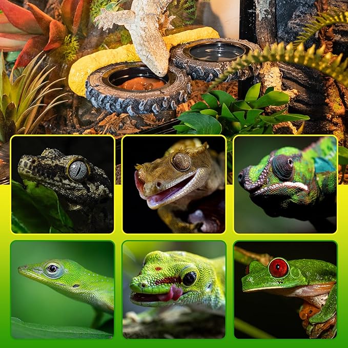 Magnetic Reptile Feeder Ledge, Crested Gecko Feeding Ledge with PVC Food Bowls, Tire-Shaped Reptile Food Dish for Crested Gecko Leopard Gecko Lizard Frog Bearded Dragon