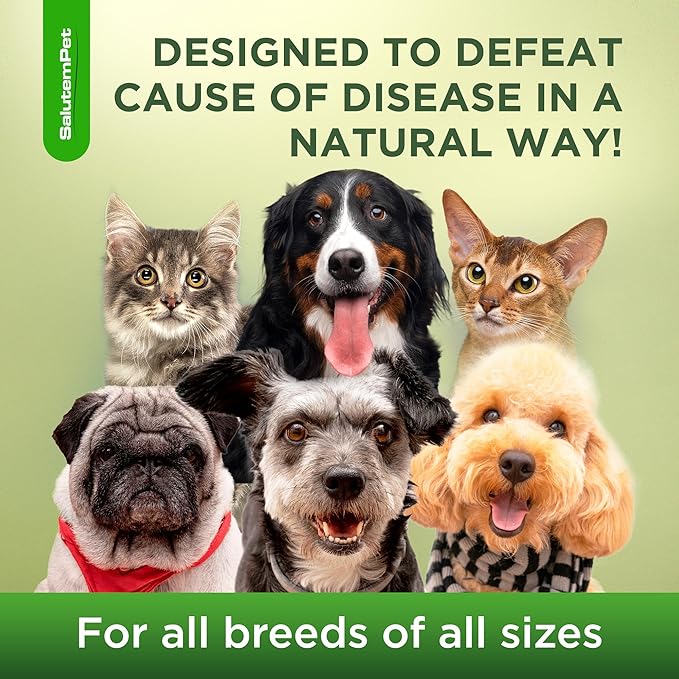 Dog Cough Medicine in Drops – Cat Cough Supplement – Kennel Cough Treatment for Dogs to Help with Sneezing & Runny Nose – Herbal Supplement – 2 Oz