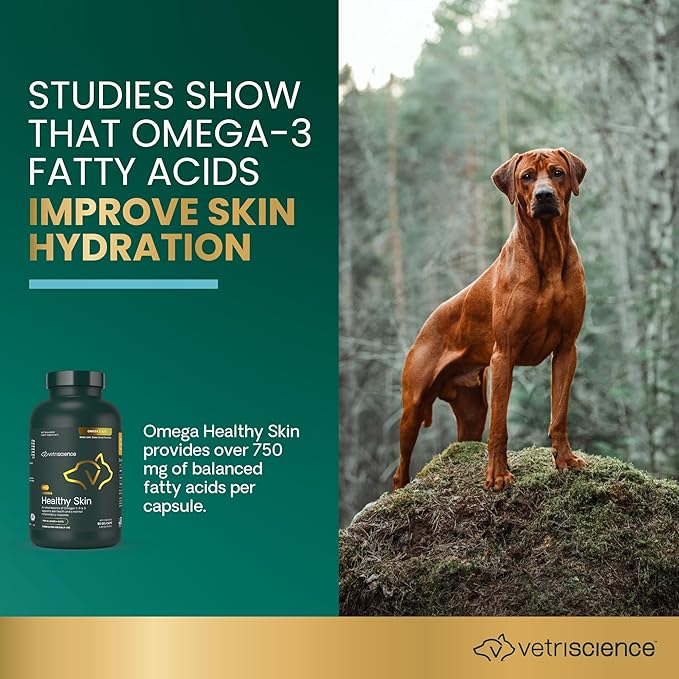 VetriScience Omega Healthy Skin Capsules, Omega 3.6.9 Fish Oil Supplement for Dogs and Cats, Skin Health, Coat Growth, Reduce Shedding, Over 750 mg Omega Fatty Acids per Capsule, Gel Caps, 90 Count