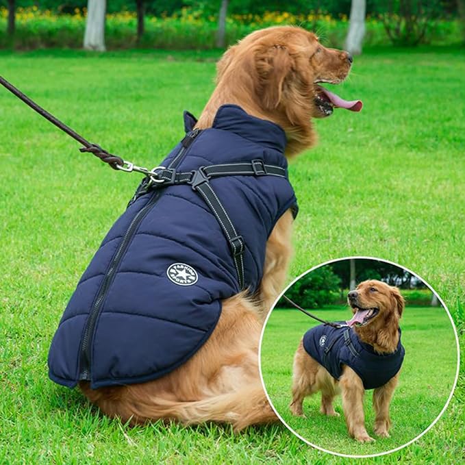 Aiboria Dog Jackets for Winter Windproof Waterproof 2 in 1 Outfit Cold Weather Coat Dog Vest Harness Puppy Winter Warm Jacket Small Blue L