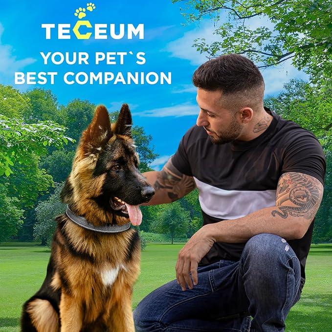 TECEUM Reflective Dog Collar β Gray β XXS β Extra Soft Padding β Basic Nylon Pet Collar β Quick Release Buckle β Fits Small, Medium and Large Dogs, Puppies, Cats β ESA & Service Dog Options