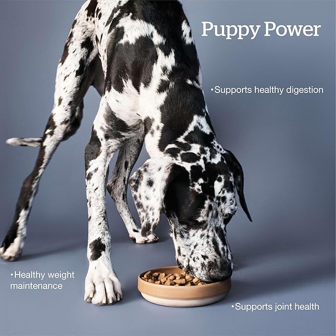 Now Fresh Grain-Free, Dry Dog Food, Real Meat and Fish, Turkey, Salmon and Duck Large Breed Puppy Recipe, 12 lb Bag