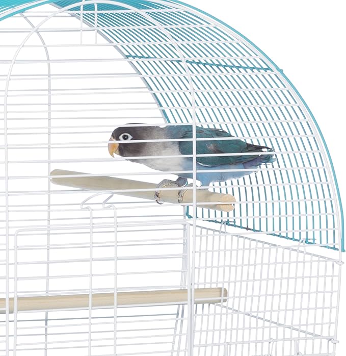 Prevue Pet Products South Beach Dome Top Bird Cage, Teal (SP50071),14 1/8" L x 11 1/4" W x 18 1/8" H