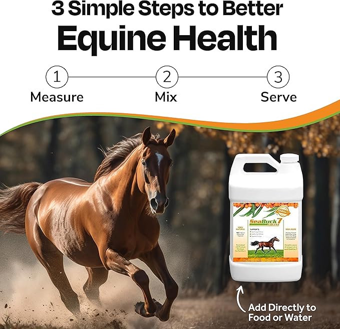 SeaBuck 7 Equine Supplement for Horses with Sea Buckthorn to Improve Horse Health (3-6 Week Supply, 1 Gallon) – Supports Healthy Eating & Digestion, Increased Energy/Focus, & Shiny Coats for Horses