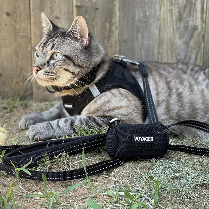 Best Pet Supplies Voyager Step-in Air Dog Harness - All Weather Mesh, Reflective, No Pull Harness for Small, Medium Dogs, Cats - Secure with Hook & Loop Fastener, Buckle, Double D-Rings - Black, L