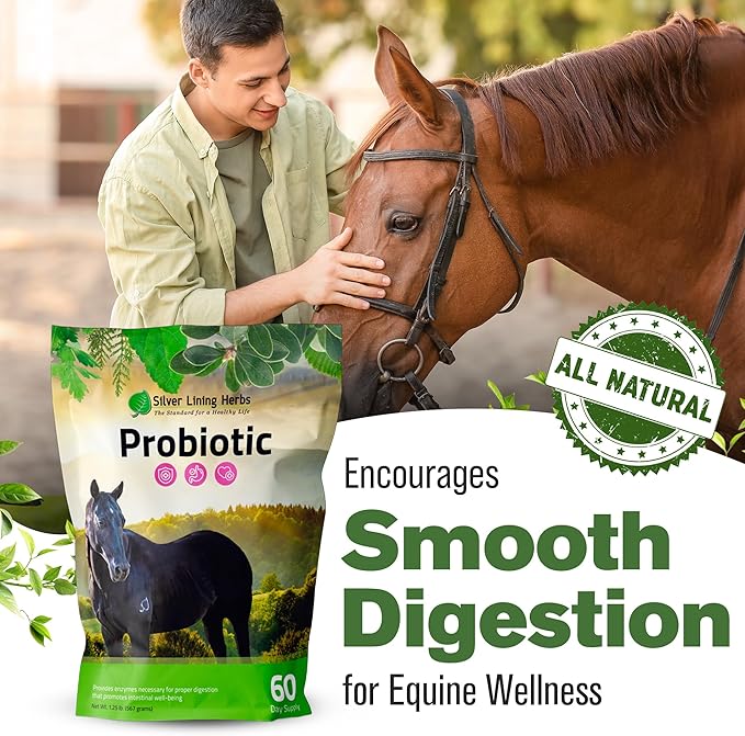 Silver Lining Herbs Horse Probiotics Digestive Supplements - Digestive Enzyme & Gut Health Probiotic Supplement for Horses - Contains 13.2 Billion CFUs Probiotic Strains - 1.25 lb 60-Day Supply