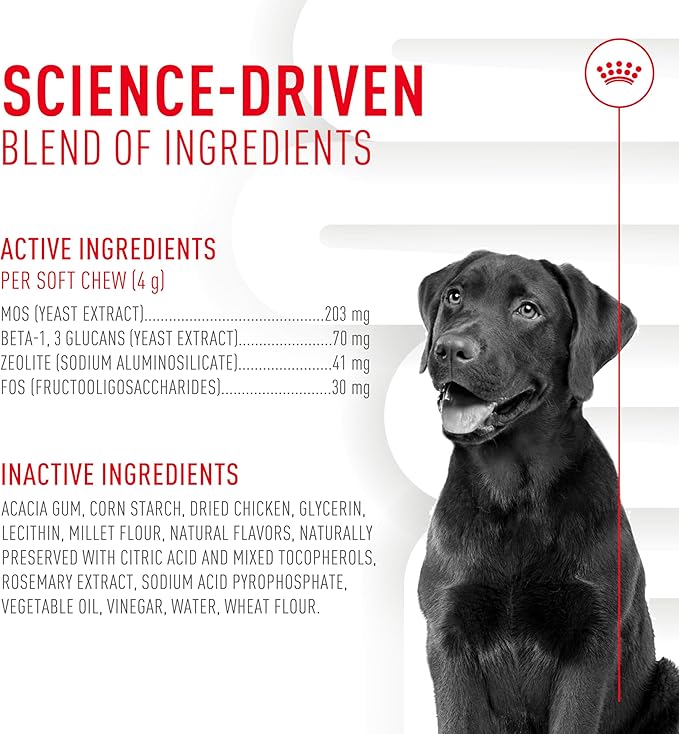 Royal Canin Digestive Supplement Soft Chews for Adult Dogs 8.47 oz (60 Count)