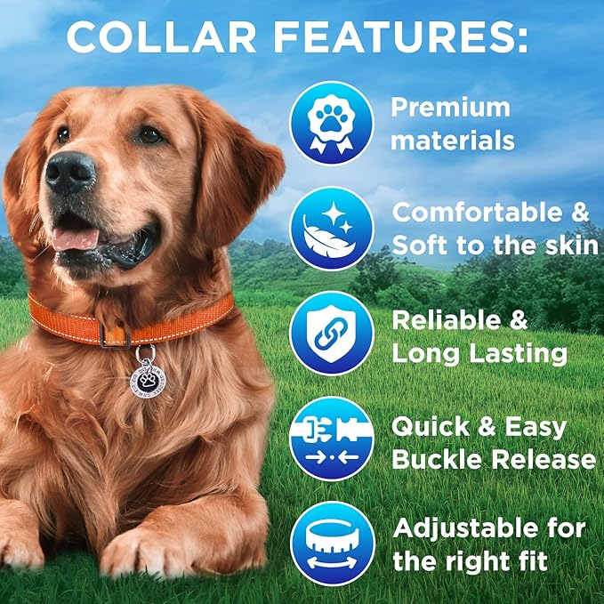 TECEUM Reflective Dog Collar β Orange β XS β Extra Soft Padding β Basic Nylon Pet Collar β Quick Release Buckle β Fits Small, Medium and Large Dogs, Puppies, Cats β ESA & Service Dog Options