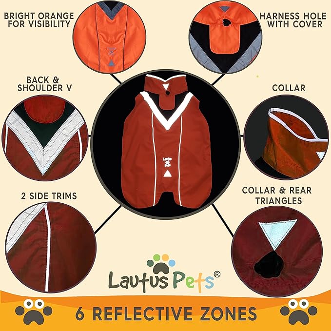 Dog Rain Coat - Waterproof, Reflective, Bright Orange with Leash Hole (M, Orange)