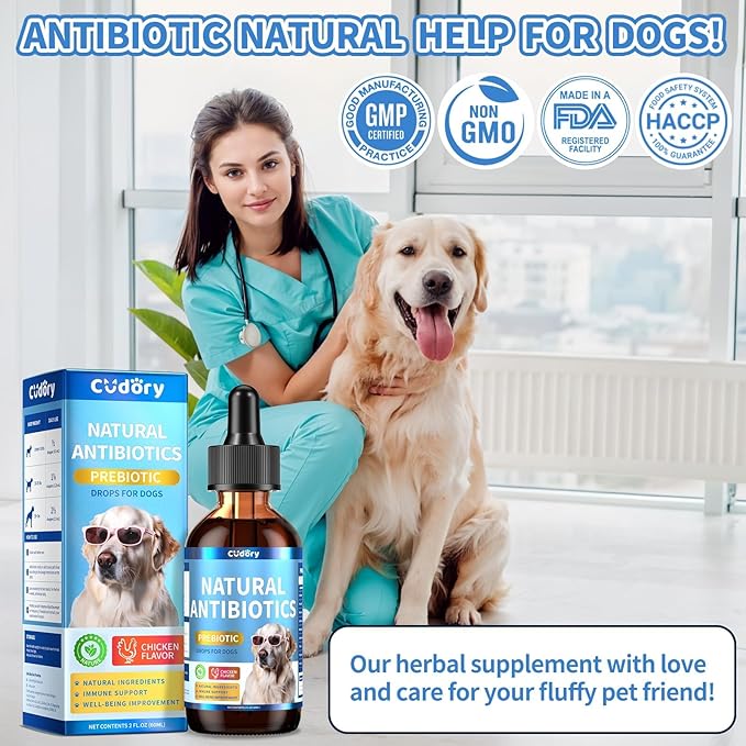 Natural Antibiotics for Dogs, Herbal Dog Antibiotics Supplement in Drops with Prebiotics, Natural Herbal Supports for Dogs Puppy All Breeds and Ages-Chicken Flavor | 2 fl oz