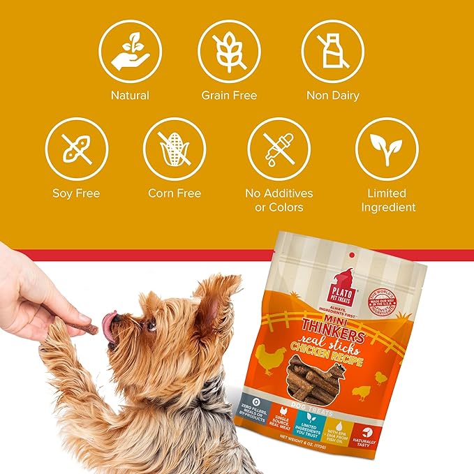 PLATO Mini Thinkers Sticks - Natural Dog Treats - Real Meat - Air Dried - Made in the USA, Chicken Flavor, 6 ounces
