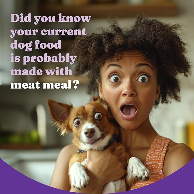 Halo Holistic Small Breed Dog Food, Wild Caught Salmon & Whitefish Recipe, Grain Free Dry Dog Food, for Healthy Weight Support, 3.5 lb Bag