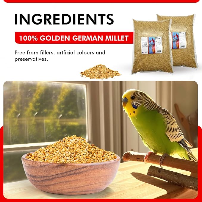 Morning Bird Golden German Millet – Bird Seed & Parakeet Food with Protein & Vitamin B – Easy-to-Digest Millet Seed, Natural Food & Daily Nutrition for All Type of Bird 18 lbs (2-Pack, 9 lbs Each)