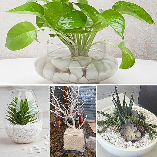 17.6 Lbs Natural River Rocks for Plants 1''-2'' Large Landscaping Garden Stones White Aquarium Gravel Decorative Pebbles for Indoor Outdoor Planters, Big Terrarium Rocks in Bulk, Home Decor