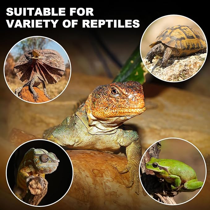 MIXJOY 250W Reptile Heat Lamp 2Pack Ceramic Heat Emitters Reptile Heat Lamp Bulbs, No Light Emitting Ceramic Heat Bulbs for Amphibian Terrarium Reptile Gecko Lizard Bearded Dragon Turtle Chicken Snake
