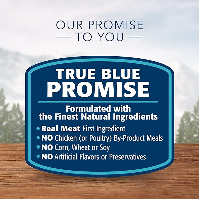 Blue Buffalo Wilderness High Protein Natural Adult Dry Dog Food Plus Wholesome Grains, Salmon 24-lb