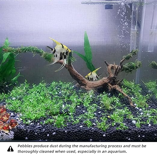 18lb 1/4" Small Pebbles Black for Plants,Potting,Succulents Aquarium Fish Tank Vases Decorative Garden Polished Gravel Rocks Stones