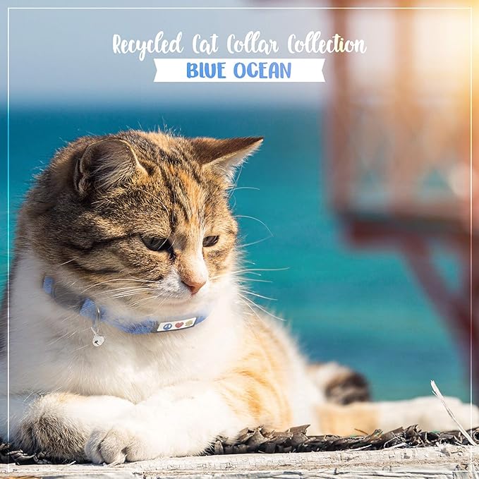 Pawtitas Recycled Cat Collar with Reflective Stitched and Safety Buckle Removable Bell Reflective Cat Breakaway Collar Made from Plastic Bottles - Blue Ocean Cat Collar.