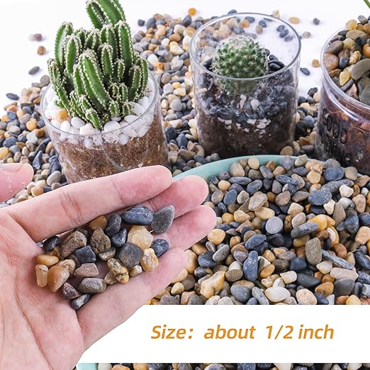 CJGQ 2.4lb 1/2" Pebbles for Plants Potting,Succulents Aquarium Fish Tank Vases-Decorative River Rocks Garden Gravel Stones
