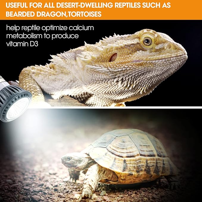 Premium High-Intensity UVB Reptile Light for Optimal Calcium Metabolism,5-Watt 10.0 Desert UVB Light Ideal for Desert-Dwelling Reptiles Bearded Dragons Tortoises