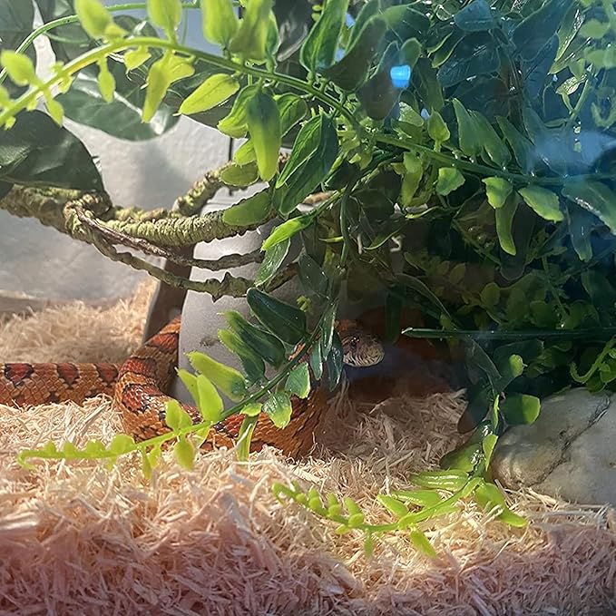 Crested Gecko Coconut Hide with Ladder,Reptile Natural Coco Shell Ladders Geckos Hideout Hut Lizards Hermit Habitat Leopard Gecko Terrarium Plant Accessories for Chameleon Snakes